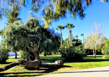 Duplex - Alquiler larga estancia - Torrevieja - Playa de los Locos